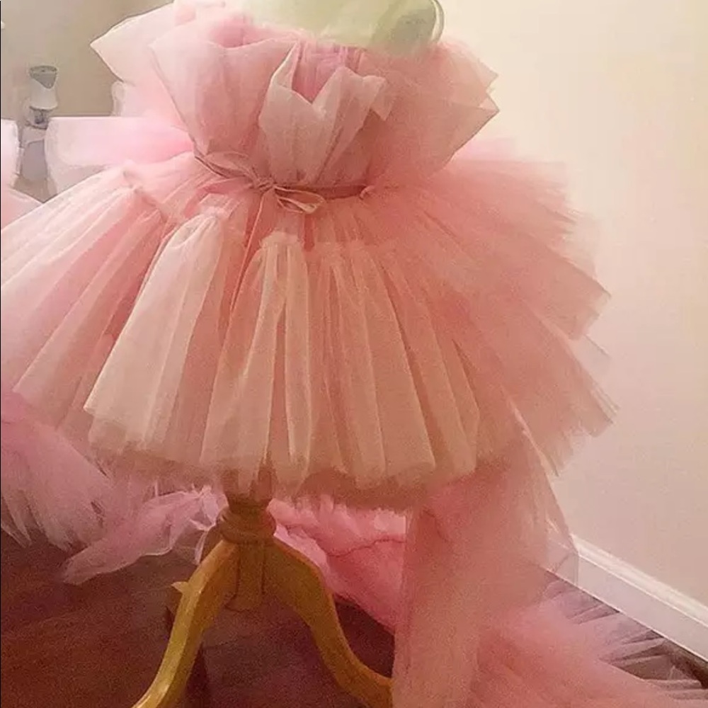 NWT Tulle Princess Flower Girl Dress